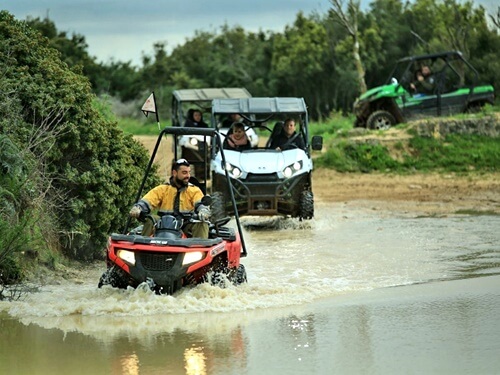 טרקטורוני נוף הורדים